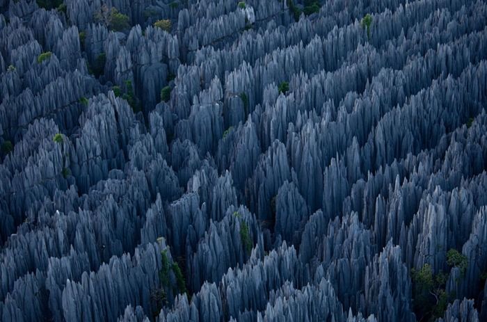 stone_forest_of_madagascar_03.jpg