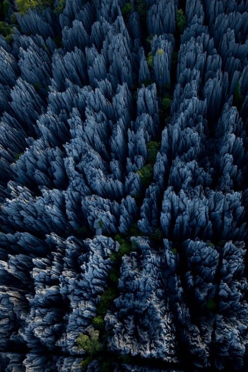 stone_forest_of_madagascar_10.jpg