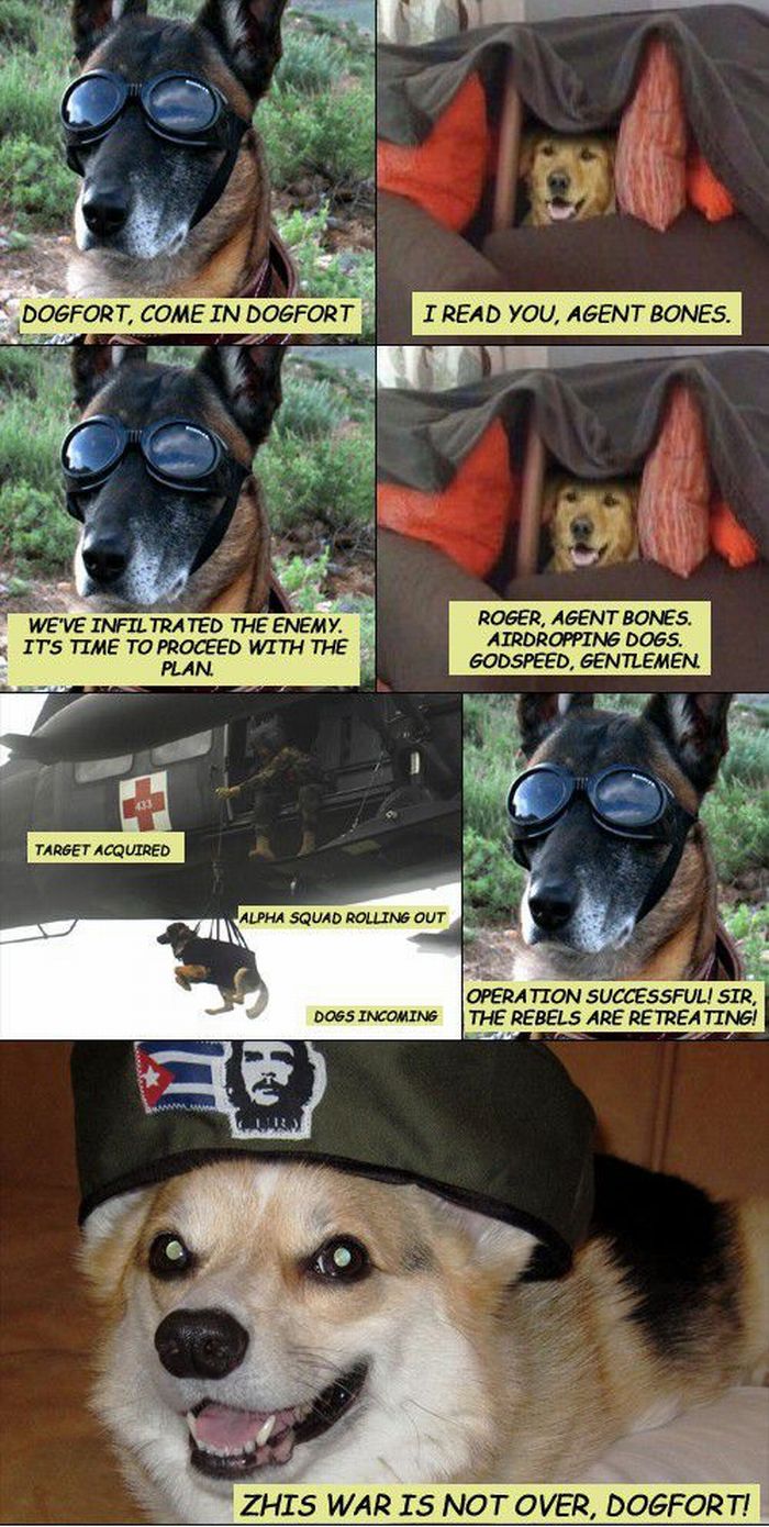 dog_fort_comics_06.jpg