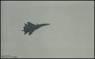 gif_of_the_week_20.gif