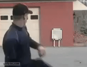 gif_01.gif