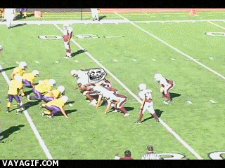 gif_07.gif