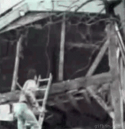 gif_05.gif