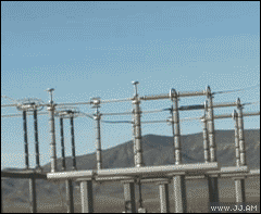 gif_06.gif