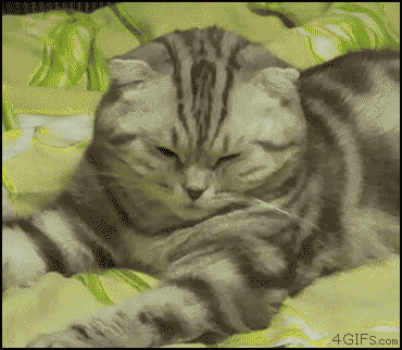gif_03.gif