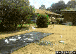 gif_05.gif
