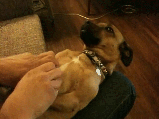gif_02.gif