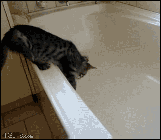 gif_03.gif