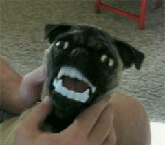 gif_07.gif