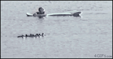 gif_07.gif