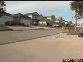 gif_01.gif