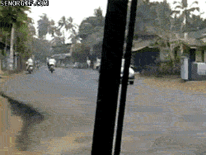 gif_02.gif