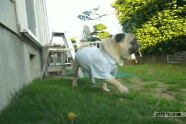gif_05.gif