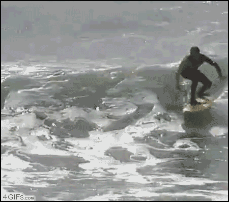 gif_02.gif