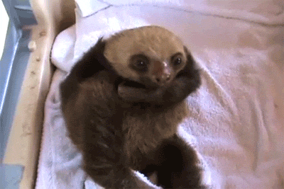 gif_06.gif