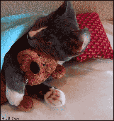 gif_02.gif