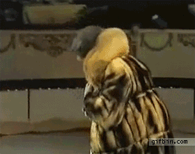 gif_04.gif