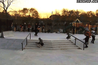 gif_01.gif