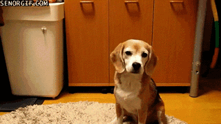 gif_01.gif