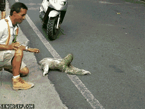 gif_05.gif