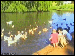 gif_06.gif
