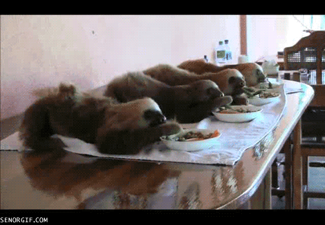 gif_06.gif