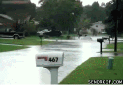 gif_04.gif