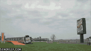 gif_02.gif