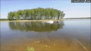 gif_04.gif