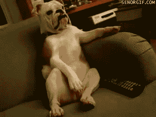 gif_05.gif