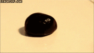 gif_03.gif