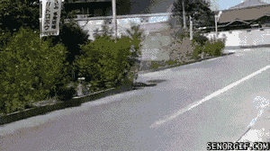 gif_04.gif