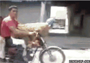 gif_07.gif