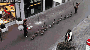 gif_02.gif