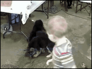 gif_03.gif