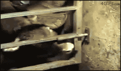 gif_06.gif