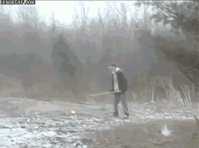 gif_07.gif