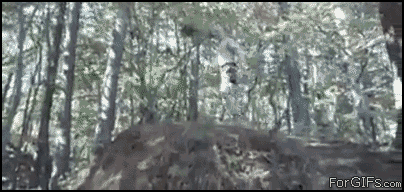 gif_05.gif