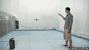 gif_01.gif