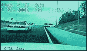gif_02.gif