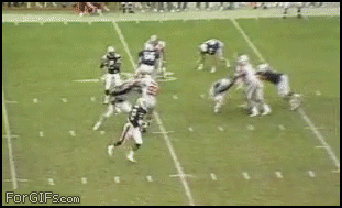 gif_03.gif