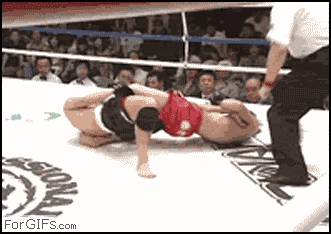 gif_04.gif