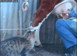 gif_05.gif