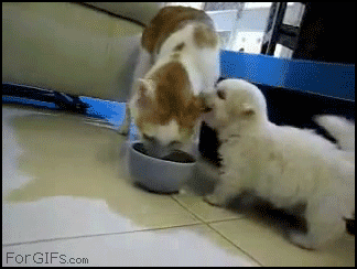 gif_07.gif