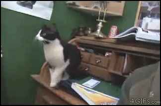 gif_03.gif