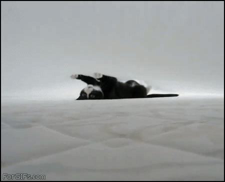 gif_04.gif