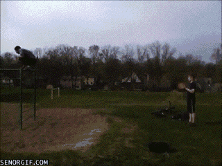 gif_06.gif