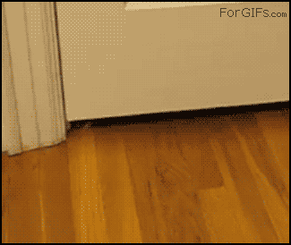 gif_02.gif