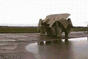 gif_04.gif