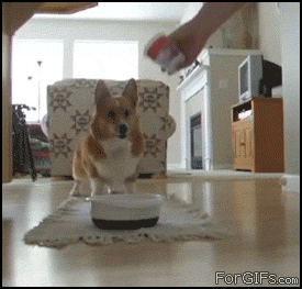 gif_01.gif